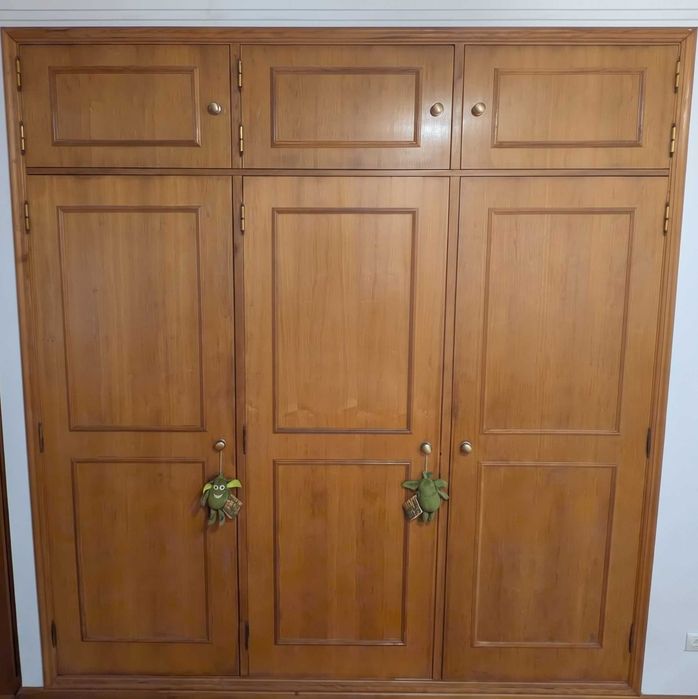 Portas de Roupeiro Robustas com Ferragens