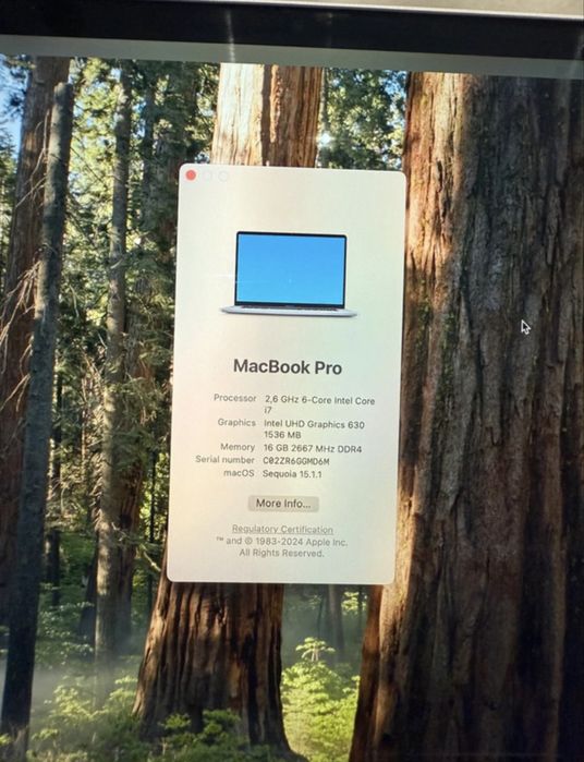 MacBook Pro 16” (2019)