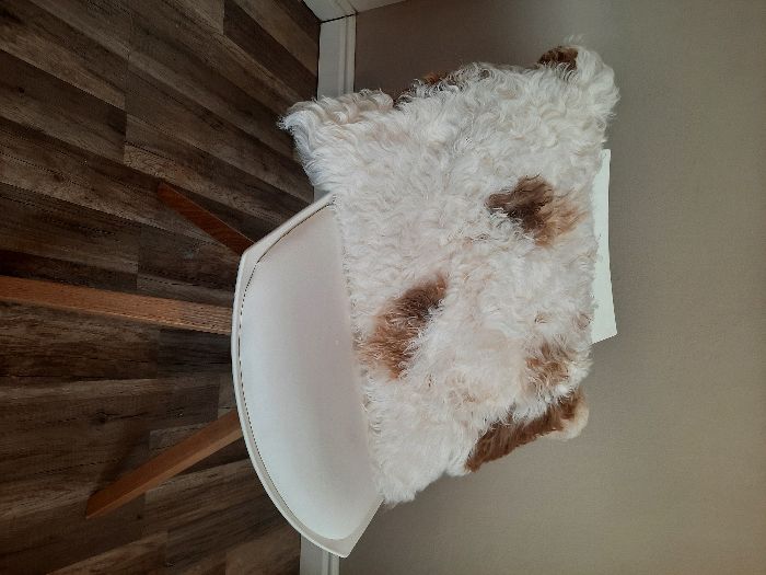 Poduszka Ozdobna Dekoracyjna Skóra Owcza Tybetańska Naturalna 60x40 cm