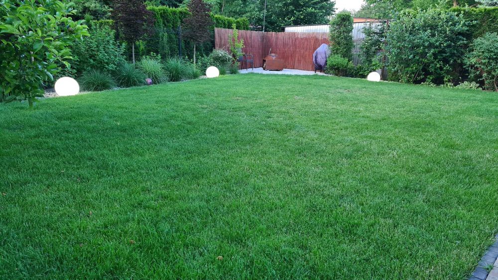 Trawa z rolki, trawa rolowana, zakładanie trawników