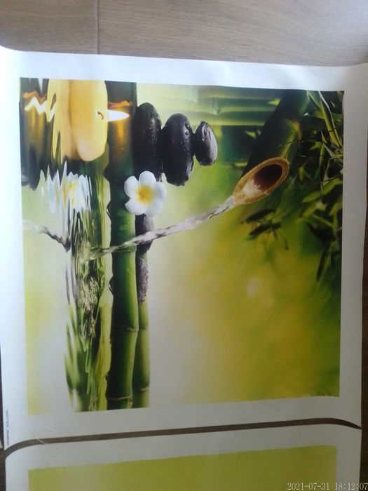 Telas modernas com bambus64585247646851121