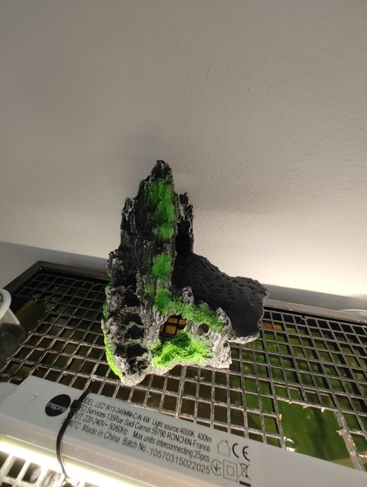 Aquário de 100 com suporte em ferro l com arrumação