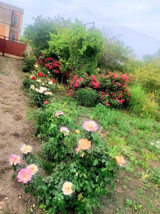 Продам добротний та міцний будинок в місті Бобринець.