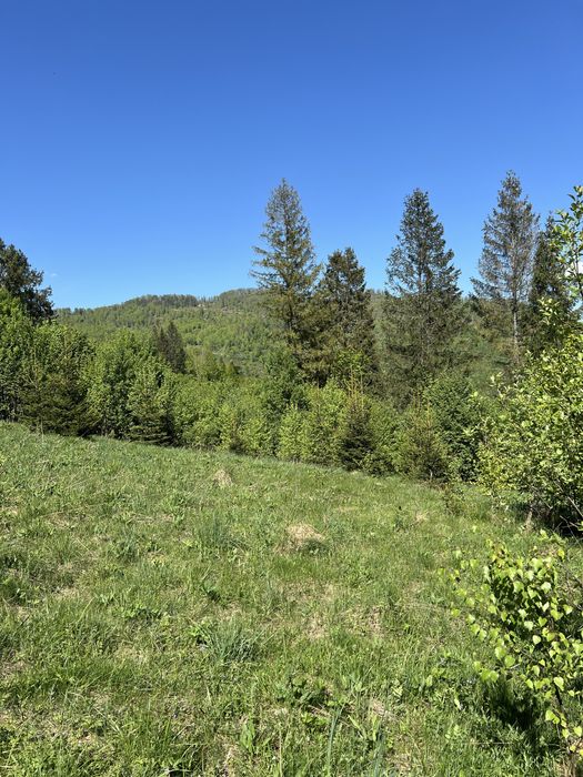 Продам земельну ділянку  Славське