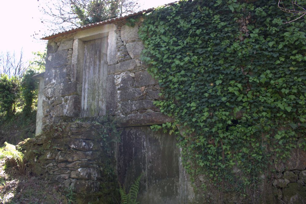 Terreno Rústico com Casa de Pedra — Rocas do Vouga, Aveiro