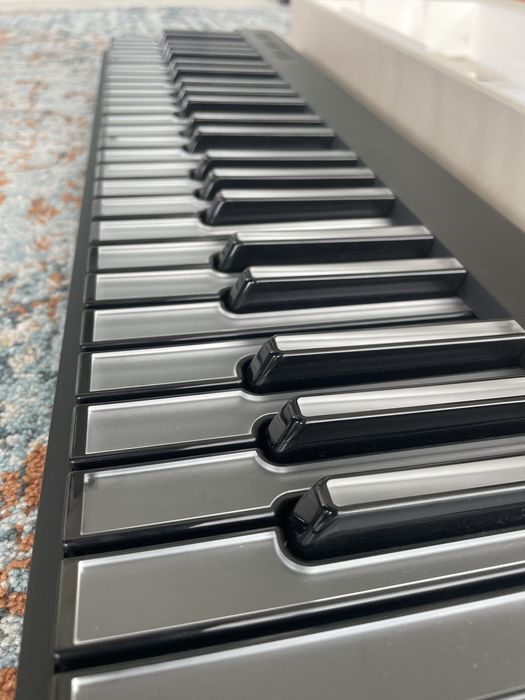 Roli Piano - Novo com garantia