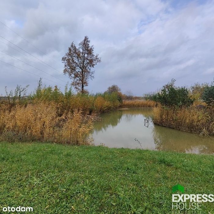 Dworek w klimatycznym otoczeniu starych drzew