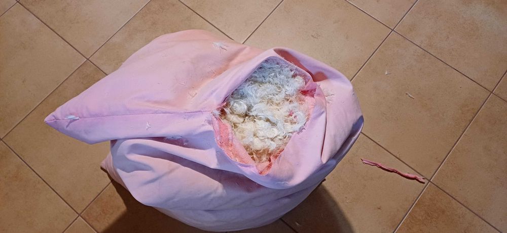 Pierze,puch z gesi używane.