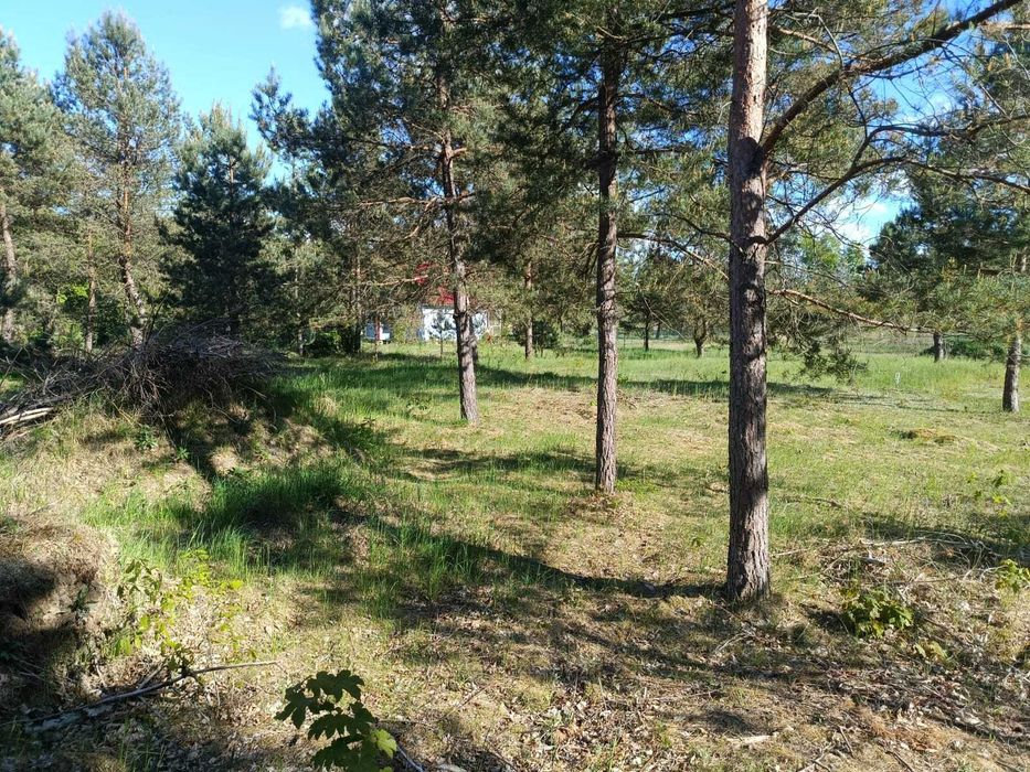 Działki rekreacyjne nad jeziorem Mausz