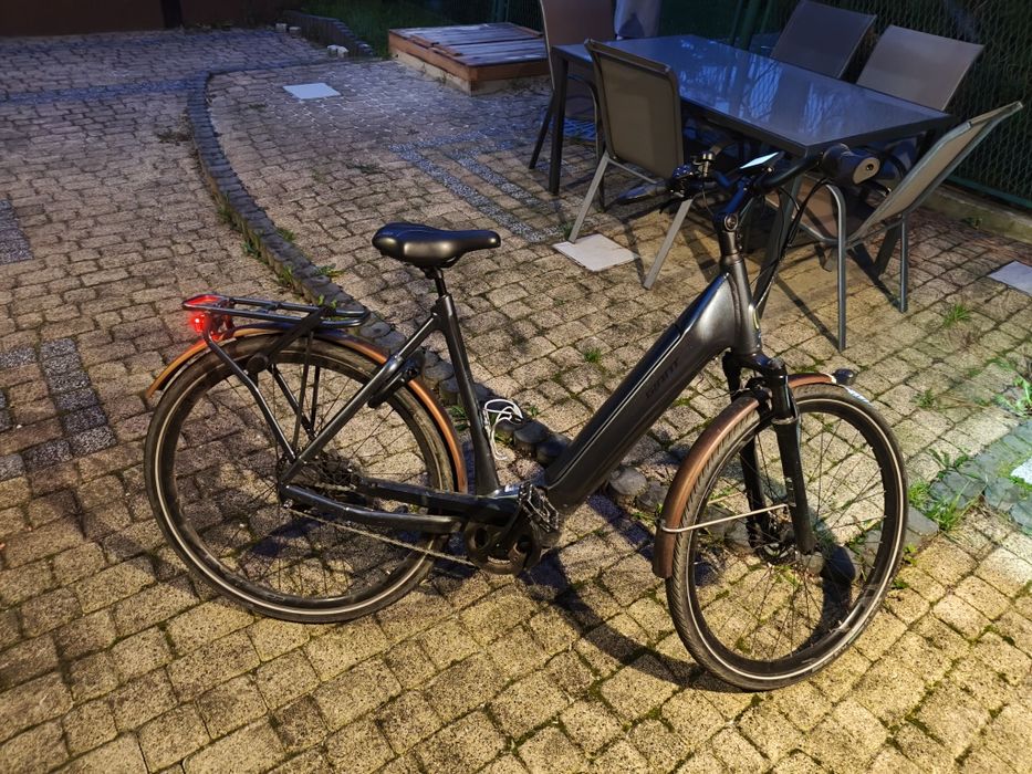 Giant dailytour e+ 2 lds