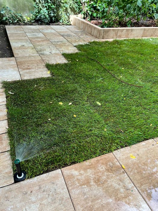 Automatyczne systemy nawadniające/projektowanie/ zakładanie ogrodów