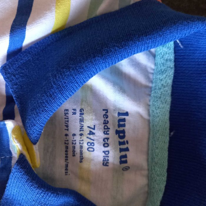 Pólos menino manga curta