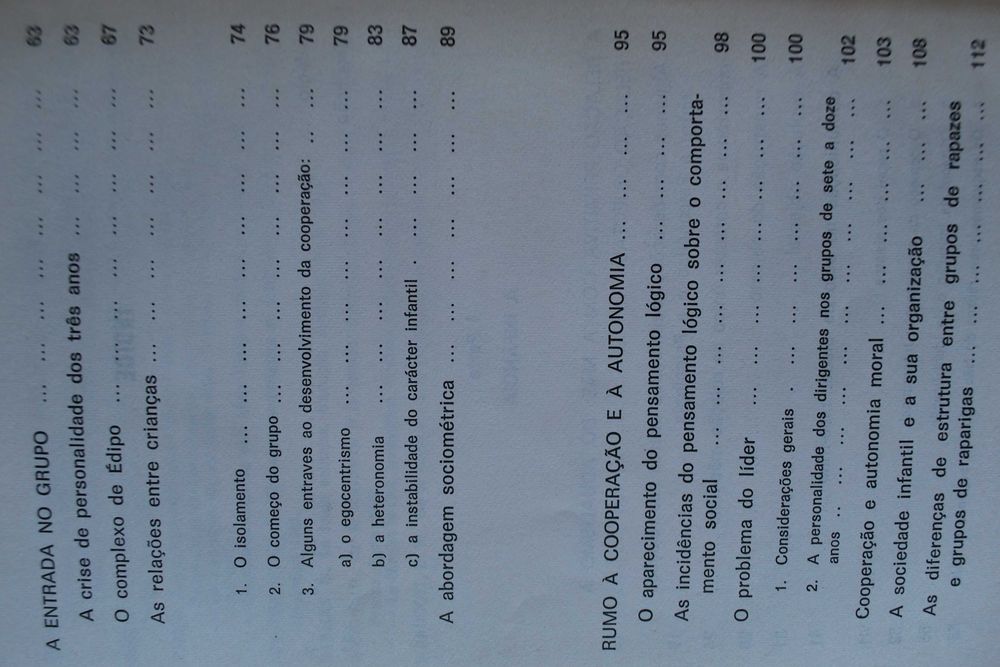 O Desenvolvimento Social da Criança e do Adolescente