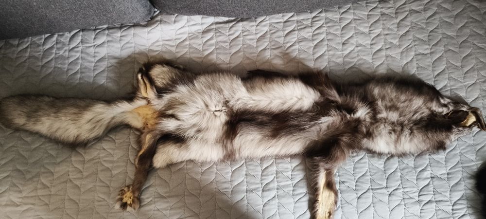 Sprzedam skóry lisów