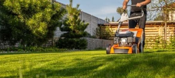 Serviços de jardinagem e limpeza de terrenos