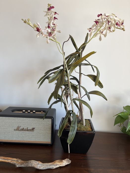 Orquidea decorativa artificial