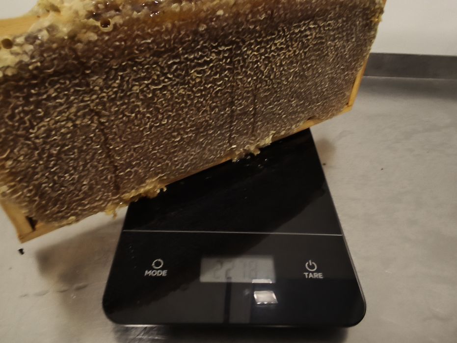 Mel Multifloral, produção própria