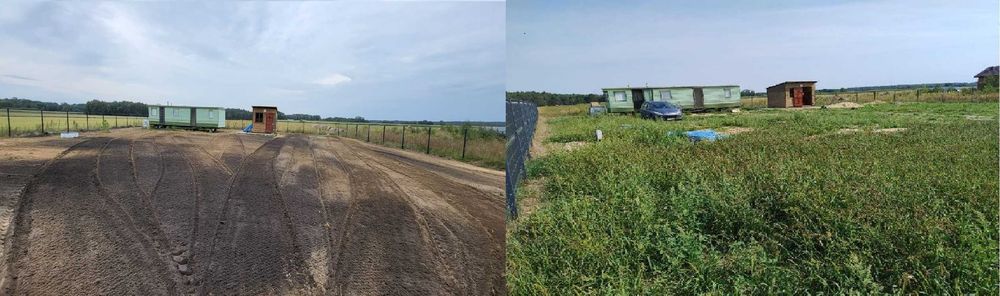 glebogryzarka separacyjna kosiarka ładowarka zamiatarka trawnik