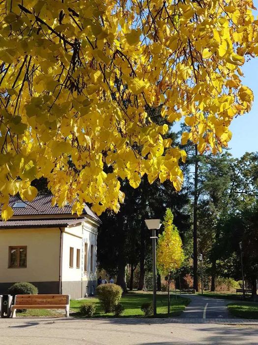 Таунхаус з частковим ремонтом в центрі. Поруч парк та озеро