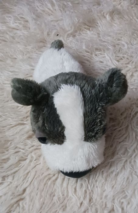 Kolekcjonerskie pluszaki, tccglobal.