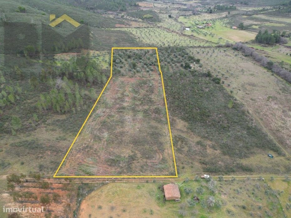 Terreno rústico com 17.160m2 para venda no Freixial do Campo!