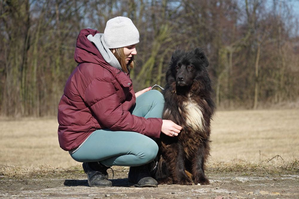 WANDA - przepiękna długowłosa sunia