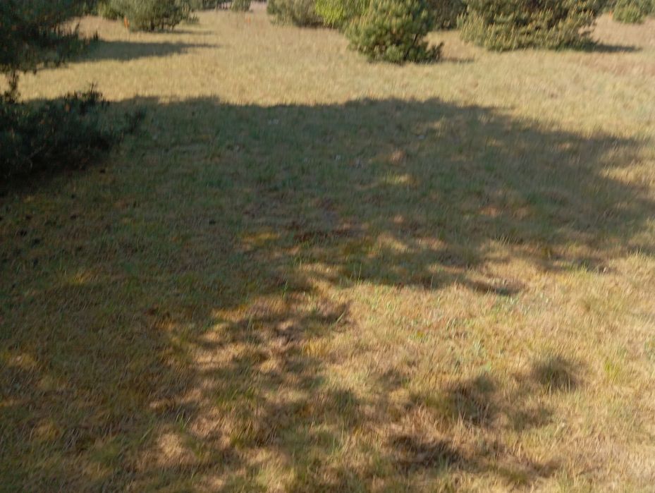Działki Budowlane Nowa Wieś Wielka