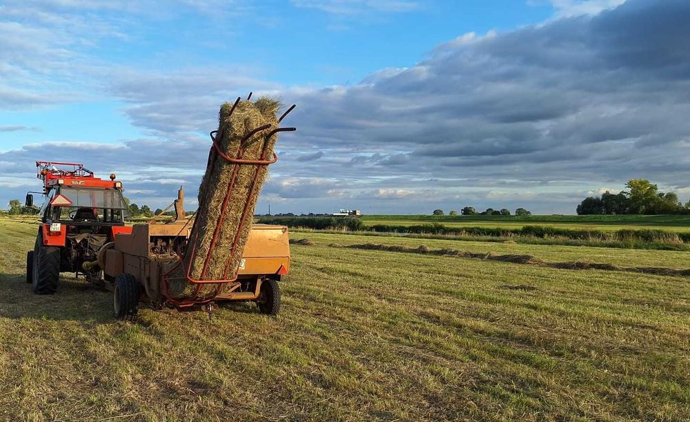 Tegoroczne siano ekologiczne w równych kostkach