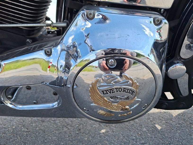 Harley Davidson FLSTF Softfail Fat Boy