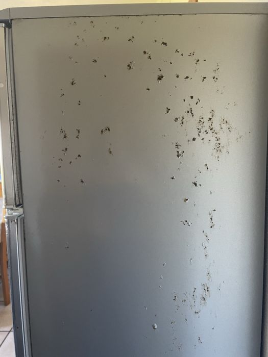 Frigorifico Fagor Inova