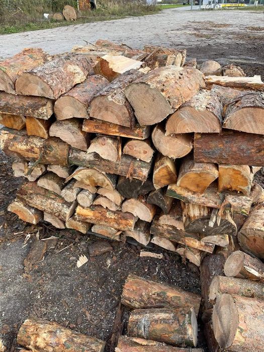 Drewno na rozpałkę lub do palenia
