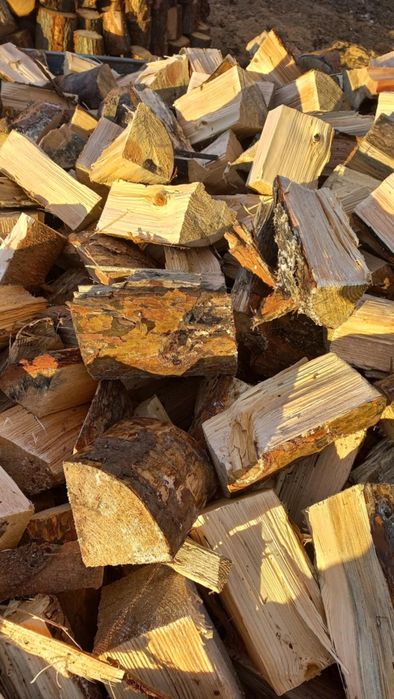 Drewno opalowe rabane