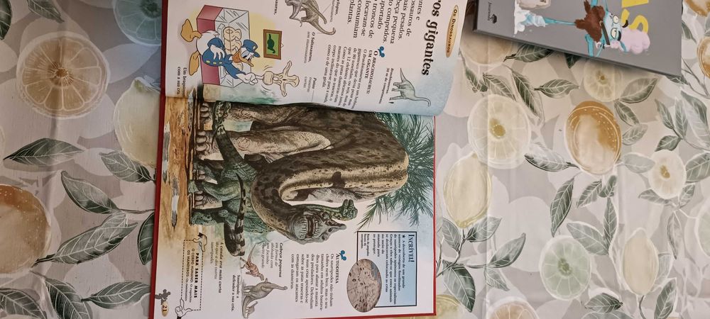 Livro Os Dinossauros