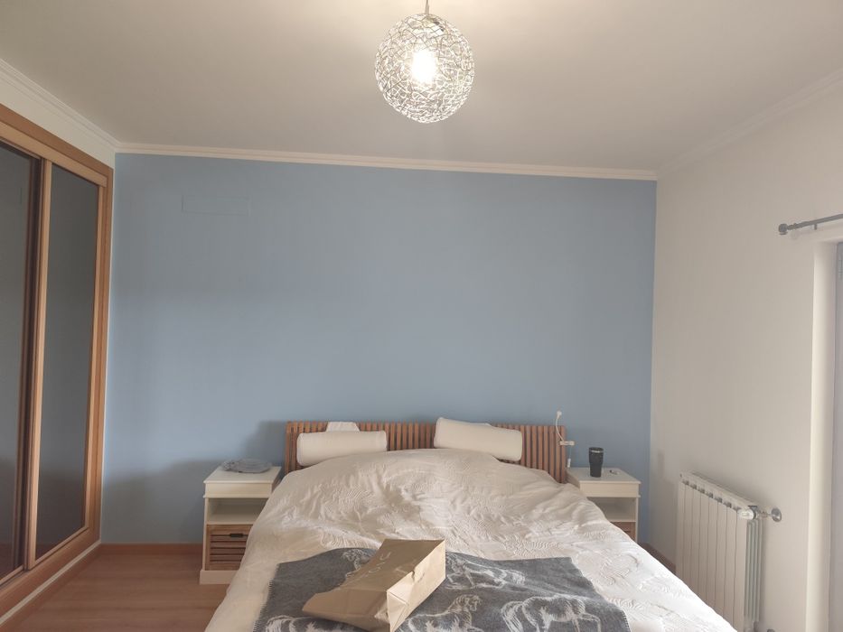 Pladur/Pinturas/Reparação de fachadas de Predios orçamento grátis