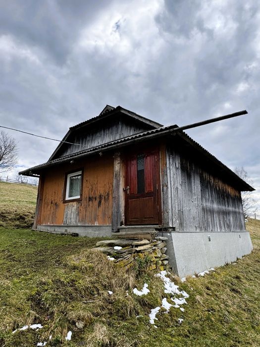 Продаж будинку у горах, с.Довгополе, 85 сот., БЕЗ КОМІСІЇ
