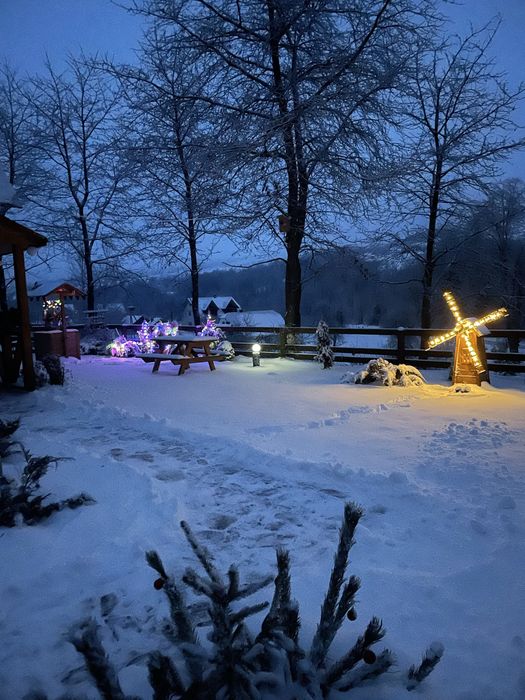 Відпочинок в Карпатах "ВИСОКИЙ БЕРЕГ "будинок, Чан,басейн,баня.