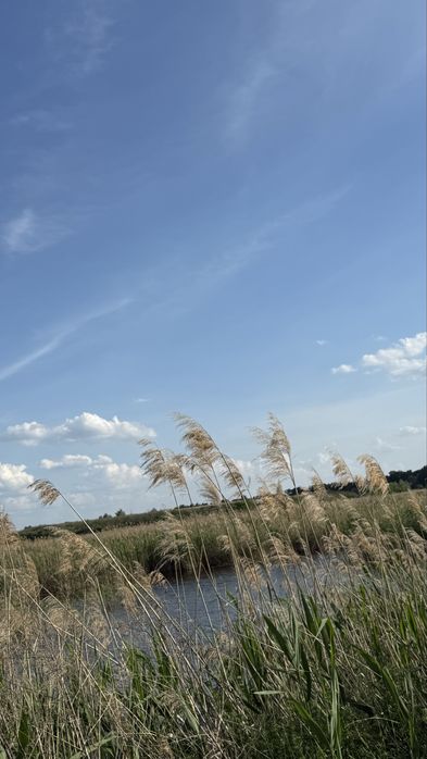 Ділянка 8 га, с. Романків, Підгірці, Київська область