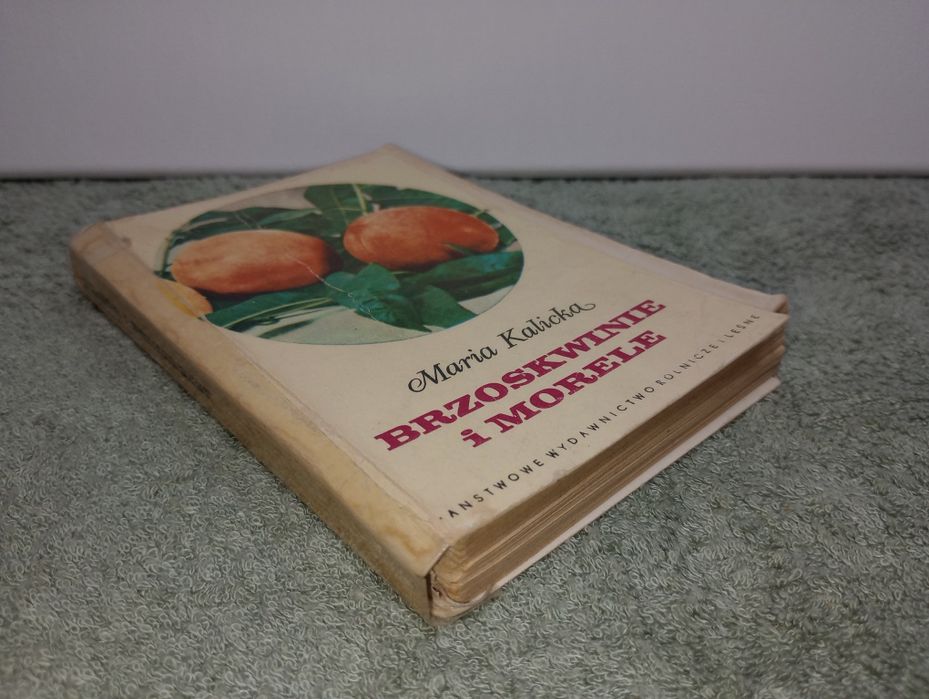 Brzoskwinie i morele. Maria Kalicka