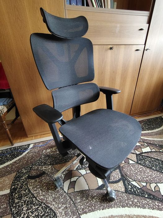 Fotel ergonomiczny Flexispot Ergox