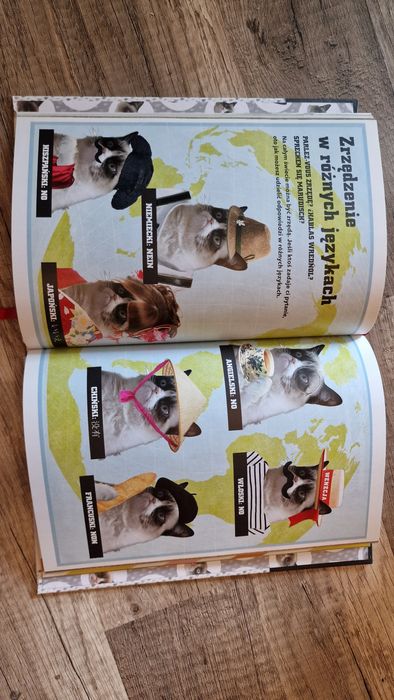 książka - Grumpy Cat