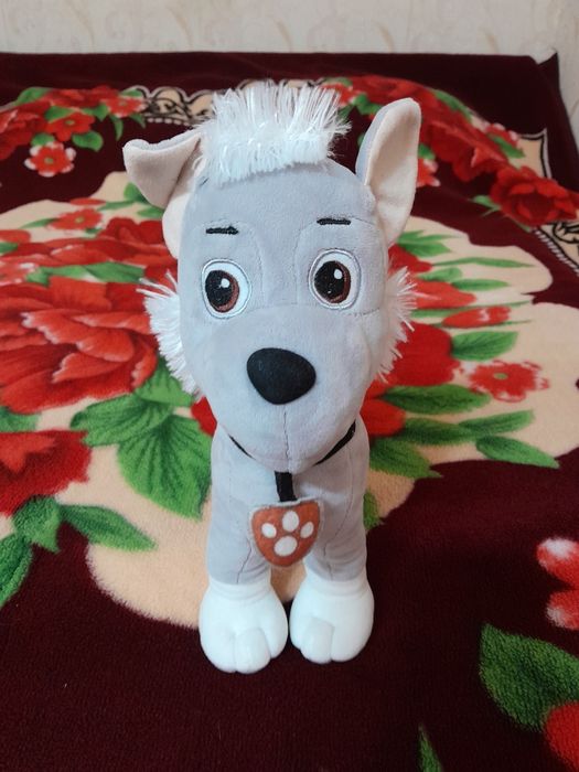 Роккі щенячий патруль.