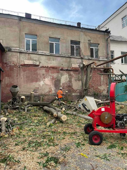 Обрезка деревьев с Бесплатным вывозом Жми , Спил деревьев  Дробление