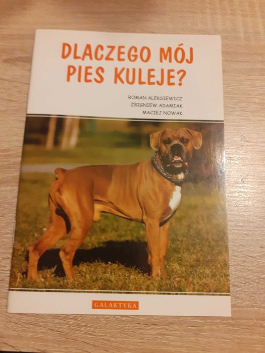 Dlaczego mój pies kuleje?