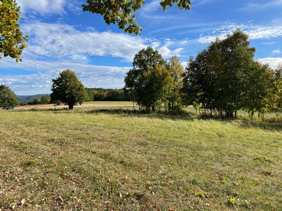 Widokowa działka budowlana z Warunkami Zabudowy - Starkówek - pod lasem - 1831 m² – 5 km od Polanicy Zdroju - z widokiem na Śnieżnik - Więcej