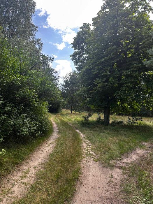 Piękna działka pod inwestycje Przychodzko – další
