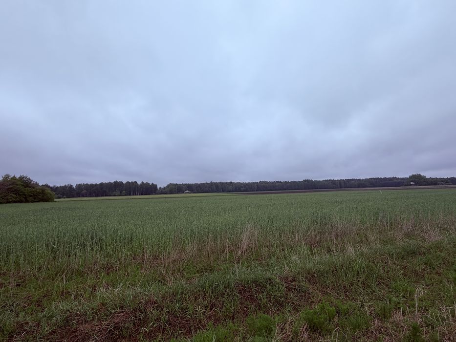 Sprzedam Pilnie dzialki budowlane z Warunkami zabudowy - Widok 5