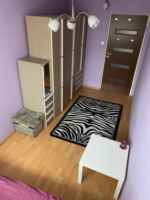 Zdjęcie 3