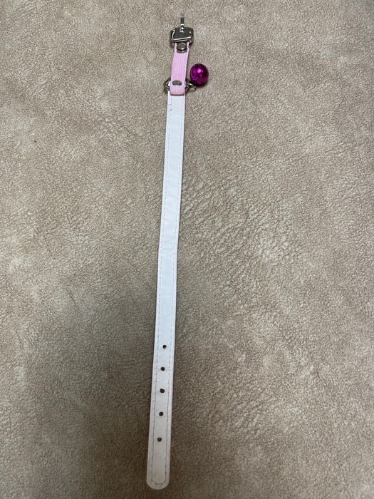 Продам ошейник для маленький пород собак или котов ( кошек)