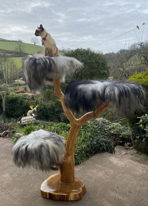 Кігтеточка, будиночок, дряпка для котиків