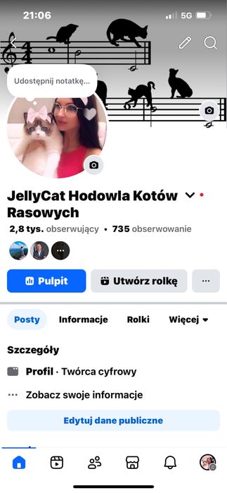 Sfinks kanadyjski , kocurek